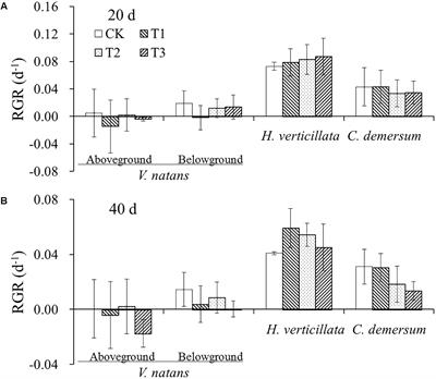 Submerged Macrophytes Exhibit Different Phosphorus Stoichiometric Homeostasis